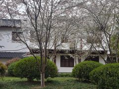 -堤角公园