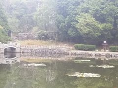 -庐山风景区花径公园