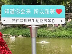 -深圳野生动物园