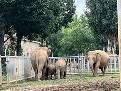 -石家庄市动物园