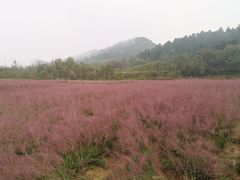 -玉华宫景区