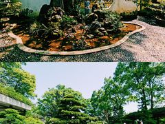 -南山植物园