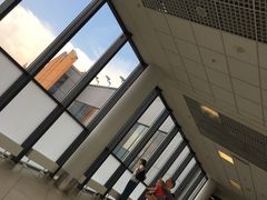 -谢列梅捷沃国际机场