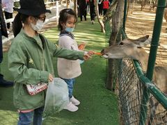 -大连铭湖国际观光牧场