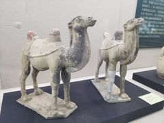 -安阳博物馆