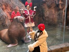 -波塞冬旅游度假区