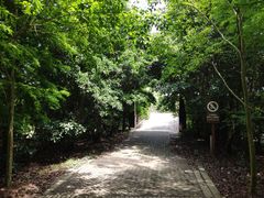 -上海海湾国家森林公园