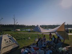 -春花秋色城市公园