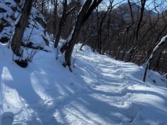 -阳台山自然风景区