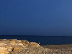 -熊猫川菜馆 panda chine