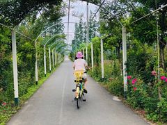 -上海长兴岛郊野公园