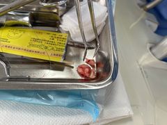 -同济大学附属口腔医院
