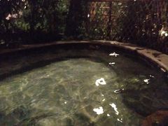 -丰泰花园酒店热矿泉