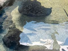 -鸿通城购物中心