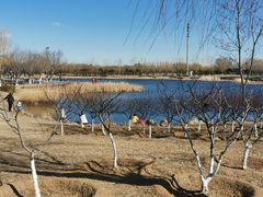 -永定河休闲森林公园