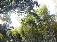 -采石矶景区