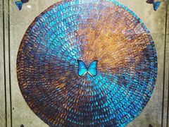 -上海昆虫博物馆