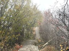 -秦岭终南山世界地质公园翠华山景区