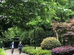 -徐家汇源景区-衡山公园