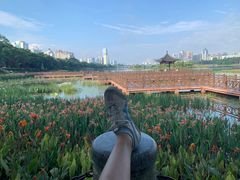 -南宁南湖公园