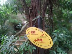 -南山植物园
