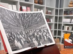 -二酉书店TOYOU BOOKS