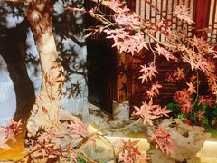 -解家河南菜(金水路店)