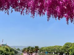 -苏州太湖西山岛开心农场