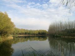 -昆山城市生态森林公园