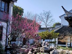 -东山雕花楼
