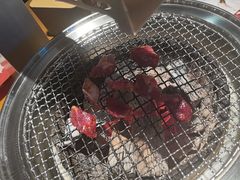 -韩味园果木炭烤鲜肉(陵东街店)