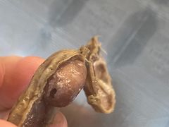 -碳火鱼羊坊(重庆总店)