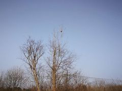 -白鹭湾湿地公园