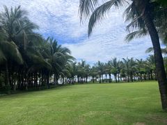 -三亚海棠湾喜来登度假酒店