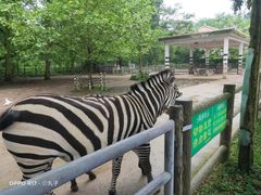 -贵州森林野生动物园