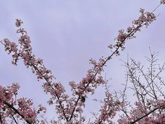 -山涧阁农家菜(南北湖店)