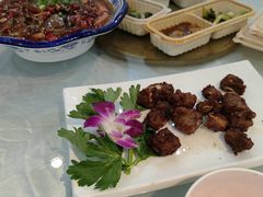 -蒲氏烤鸭(百寿路店)