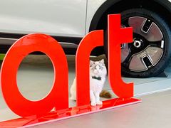 -上海浦东smart汽车全功能店(金桥店)
