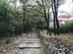 -阳台山自然风景区