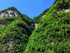 -阿依河景区