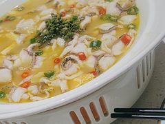 -青花椒花椒鱼(合生汇店)