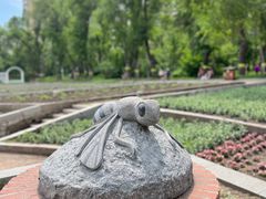 -黑龙江省森林植物园