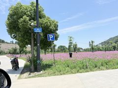 -南北湖风景区