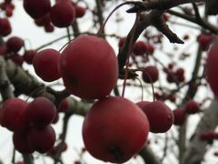 -南通洲际绿博园