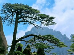 -黄山风景区