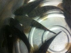 iphone_upload_pic-旺山·浪头人家