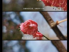-瀛洲公园