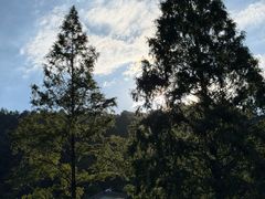 -郭洞古生态村