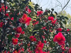 -浙江大学(玉泉校区)