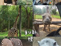 -北京野生动物园
